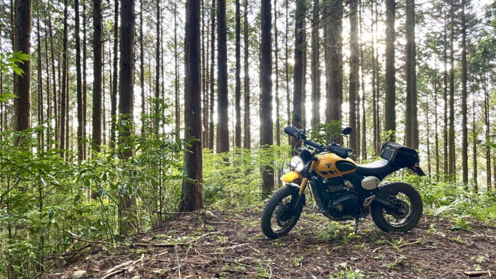 木漏れ日の下でバイクを停めて、しばし休憩。