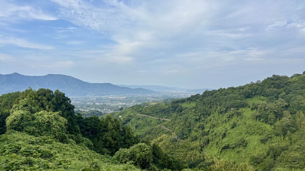 夏の和泉葛城山周辺の山々