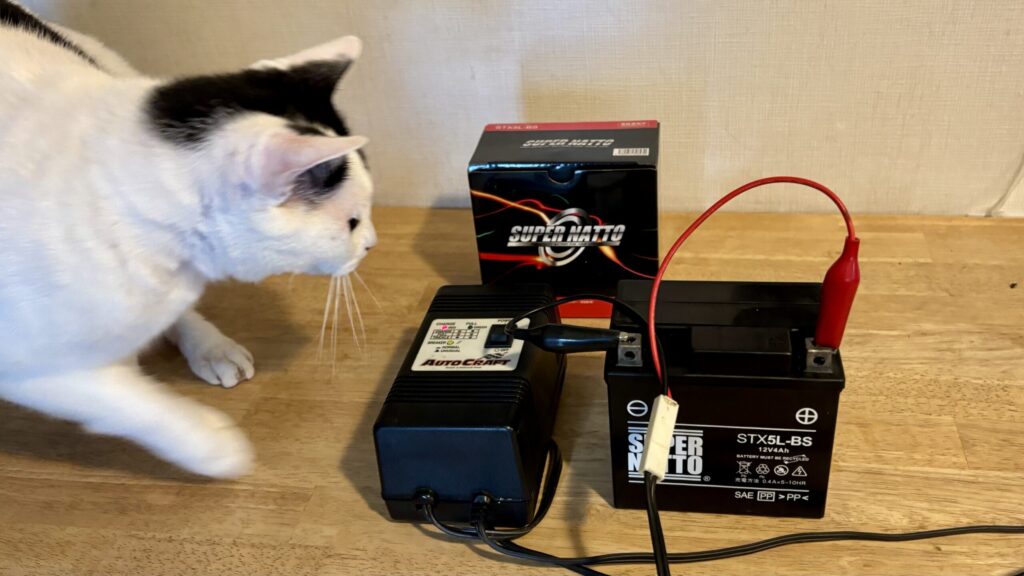 SUPER NATTOのバッテリーに初期補充電をする。
