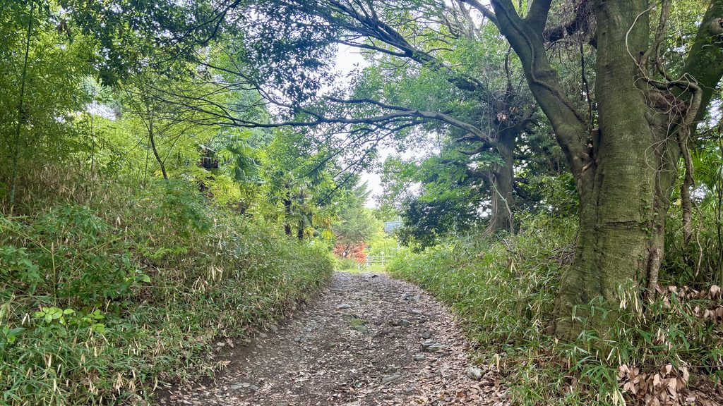 生駒山の山道