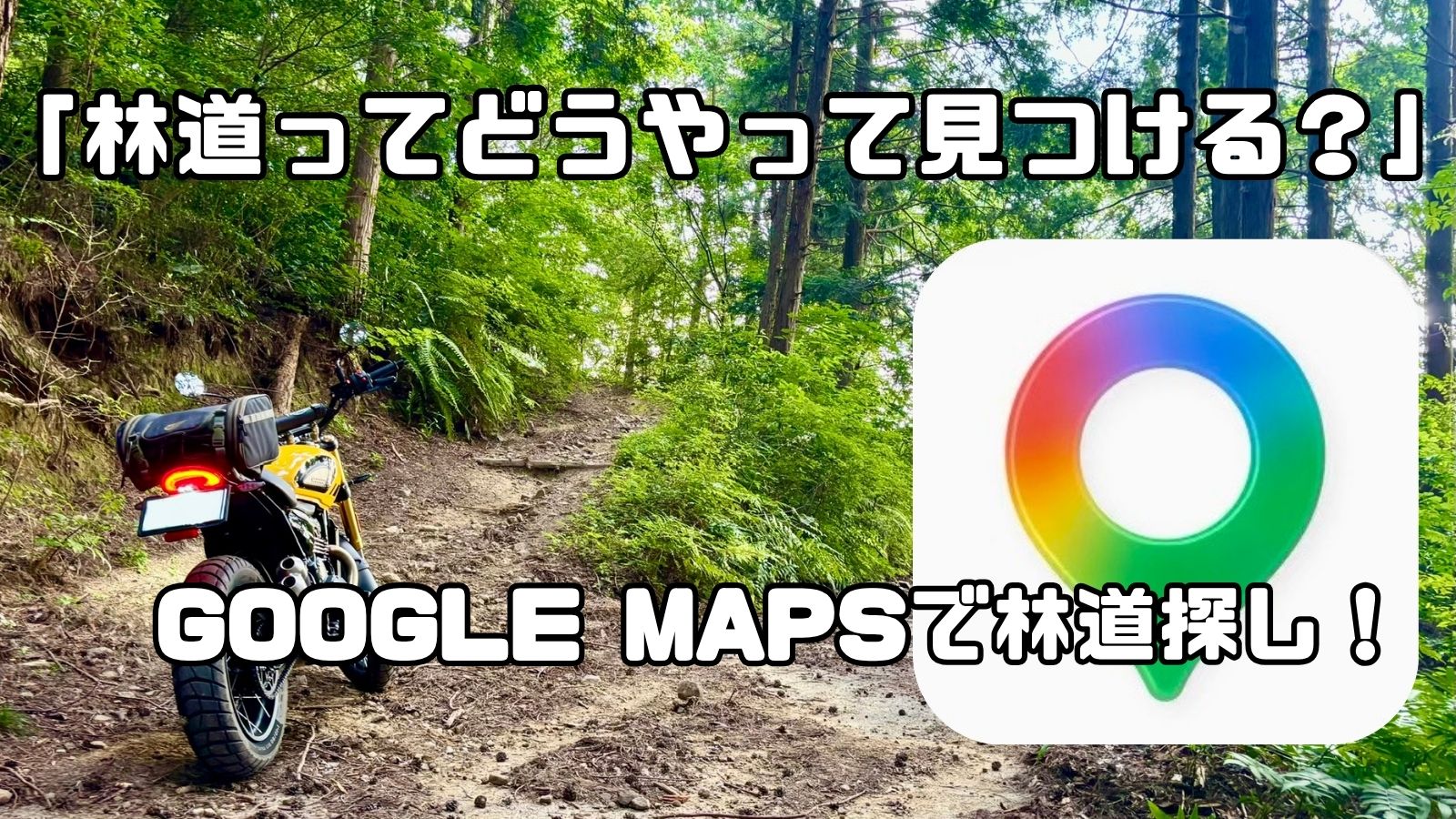 林道を探す