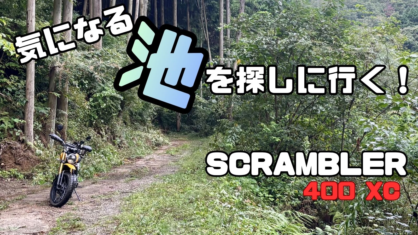 池を探しに行きます