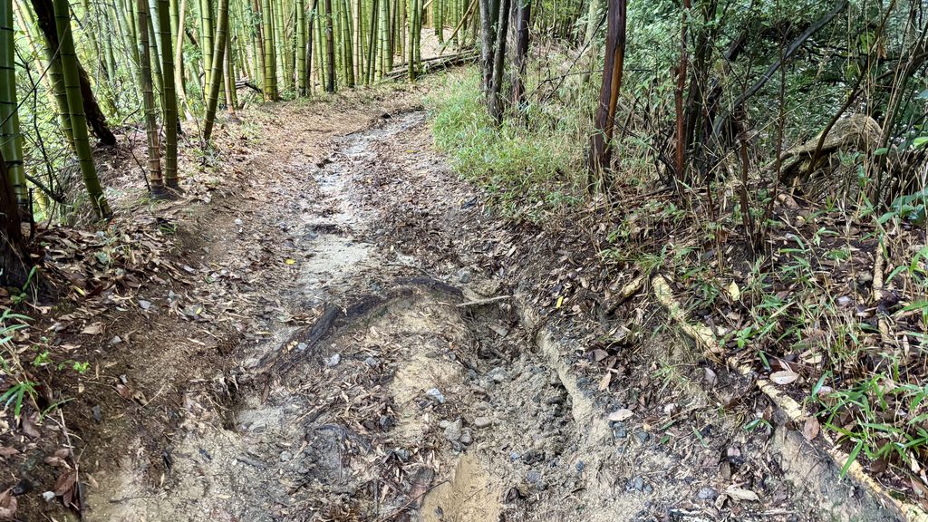 昨夜の雨の影響で林道のコンデションは良くない。