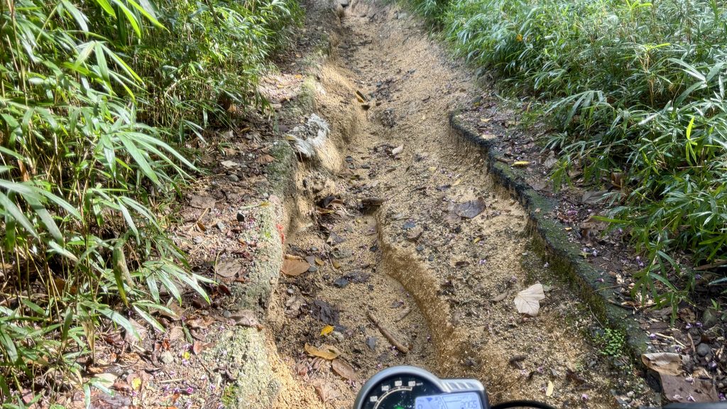 雨で路面がえぐられた林道