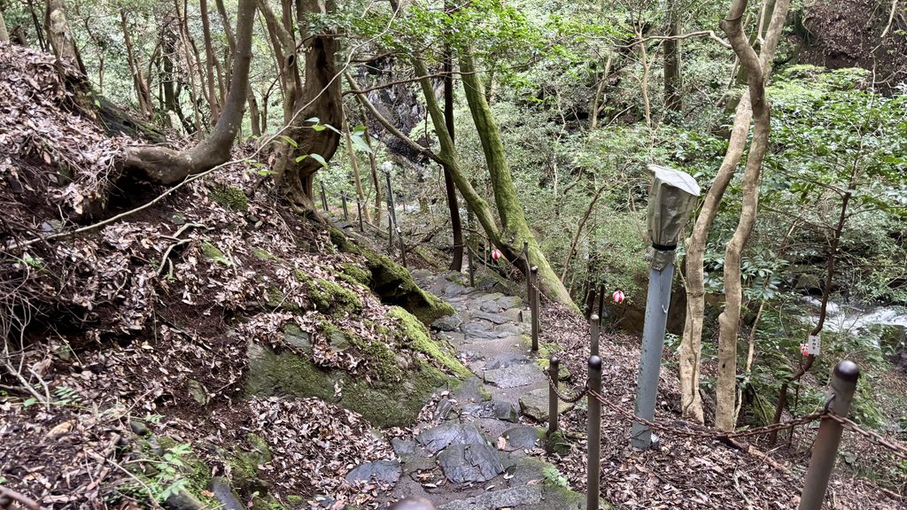 白藤滝へ続く石段を下っていく