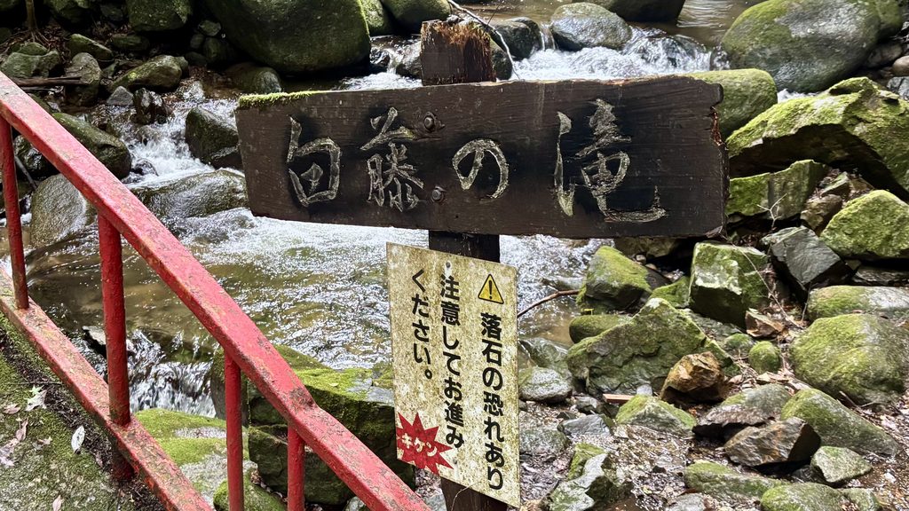 白藤の滝にの前にかかる赤い太鼓橋