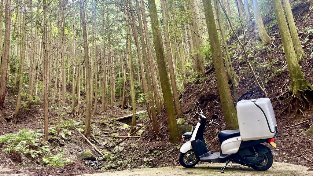 森林を走るヤマハギア